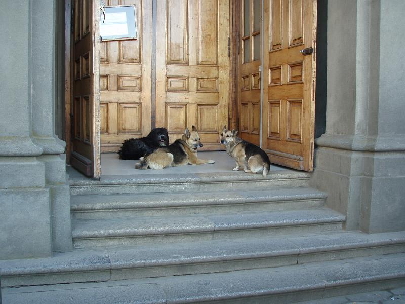 On the church steps.JPG